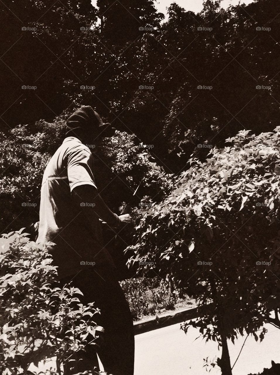 A gardener daily work