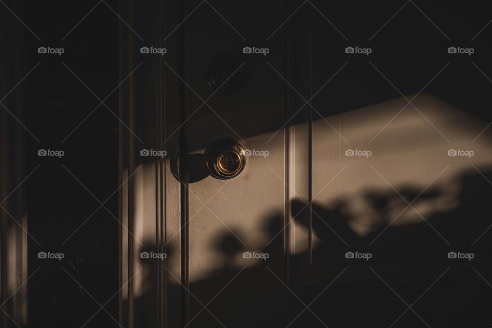 Window cast upon simple door.