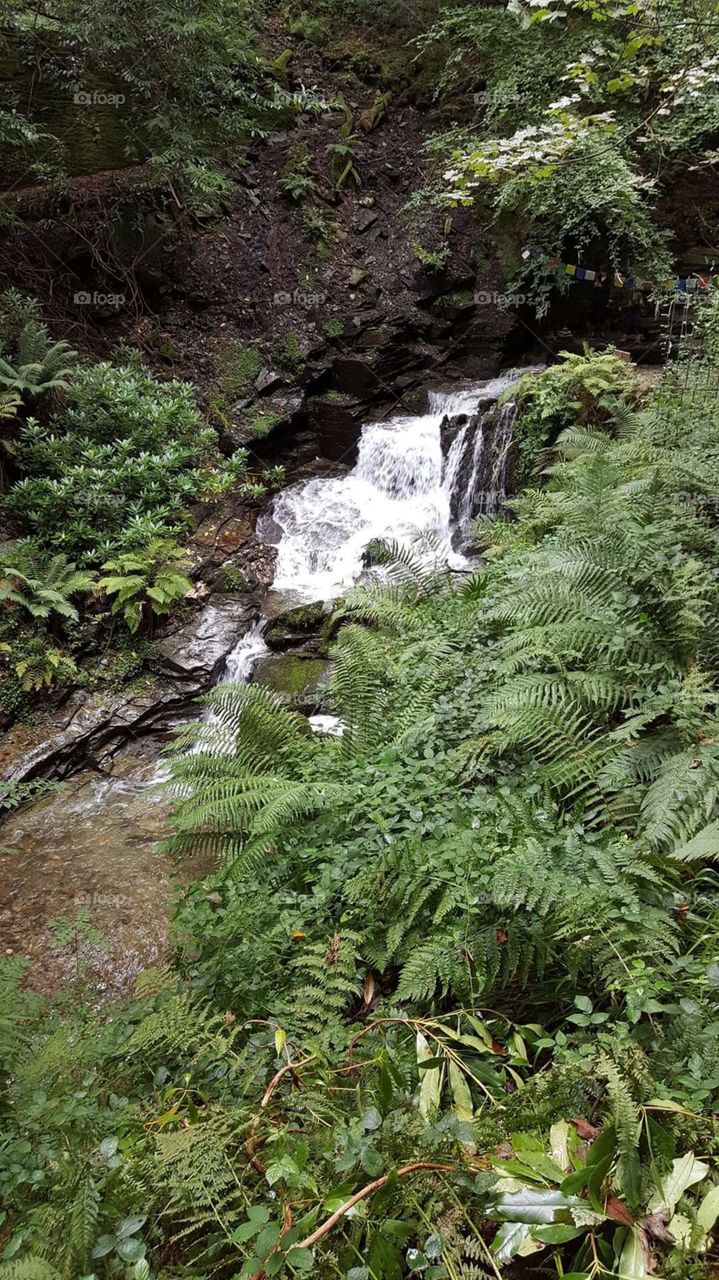 St. Nectan's Glen, Cornwall
