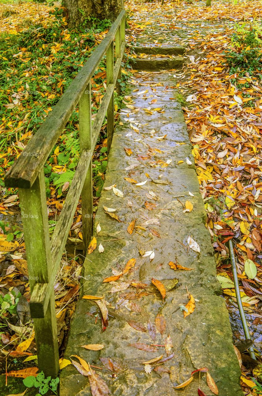 Path . Garden