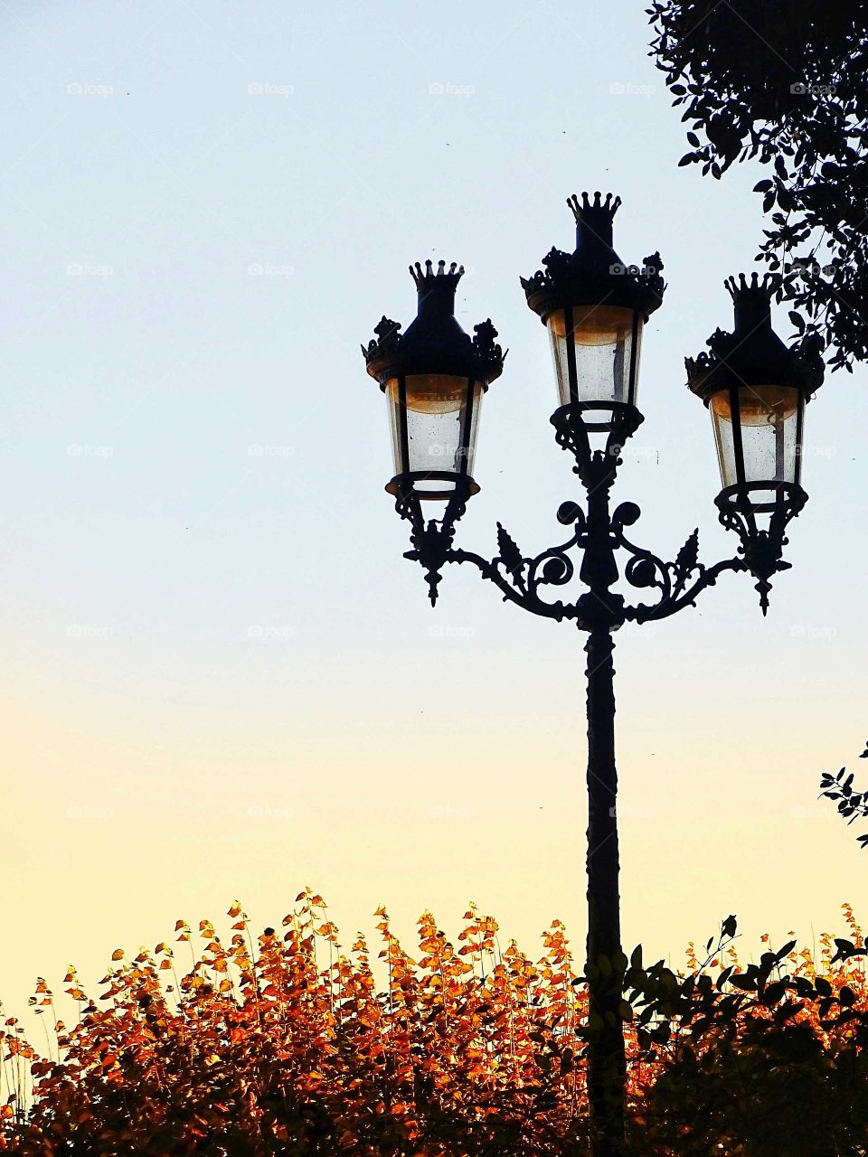Lamppost in the garden