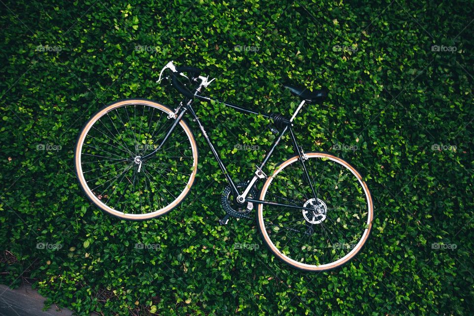 nice bicycle in the garden