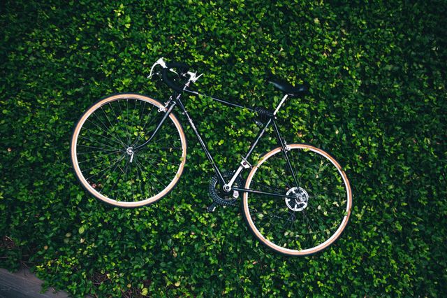 nice bicycle in the garden