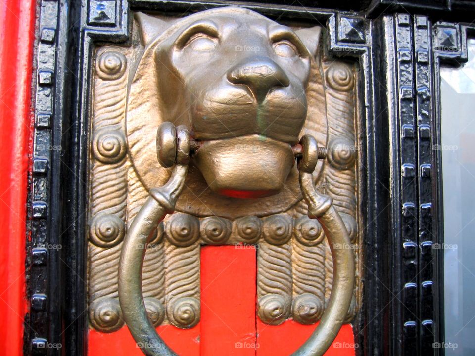 Lion had door knocker in London