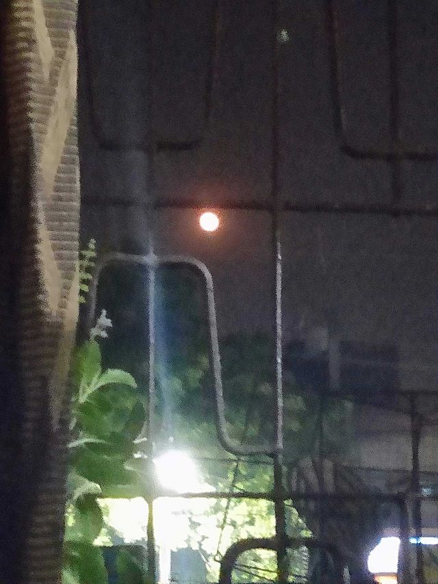 Moon 🌚 India