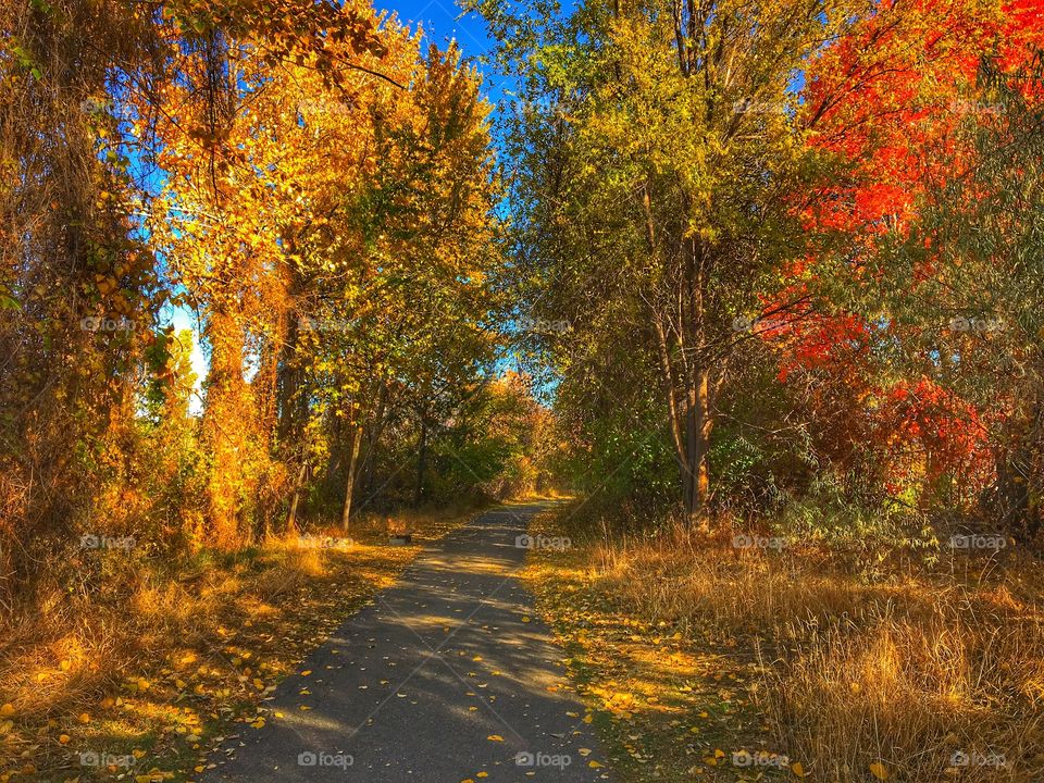 Beautiful autumn day! 