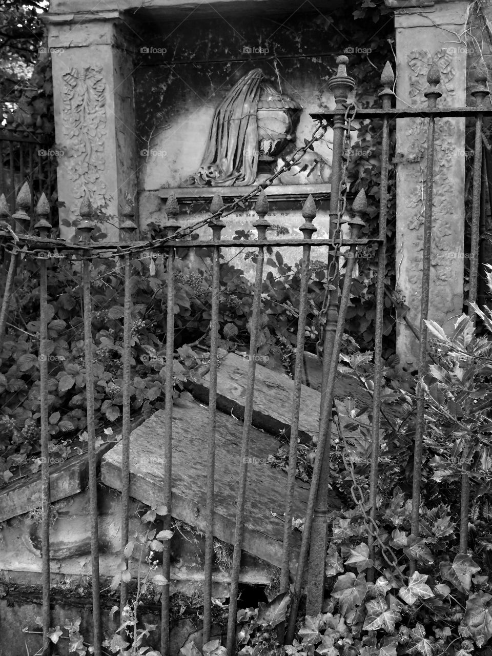 An old European tomb with an iron fence around it, ornate stone carvings, and covered in ivy has withstood the test of time but not without heavy damage.