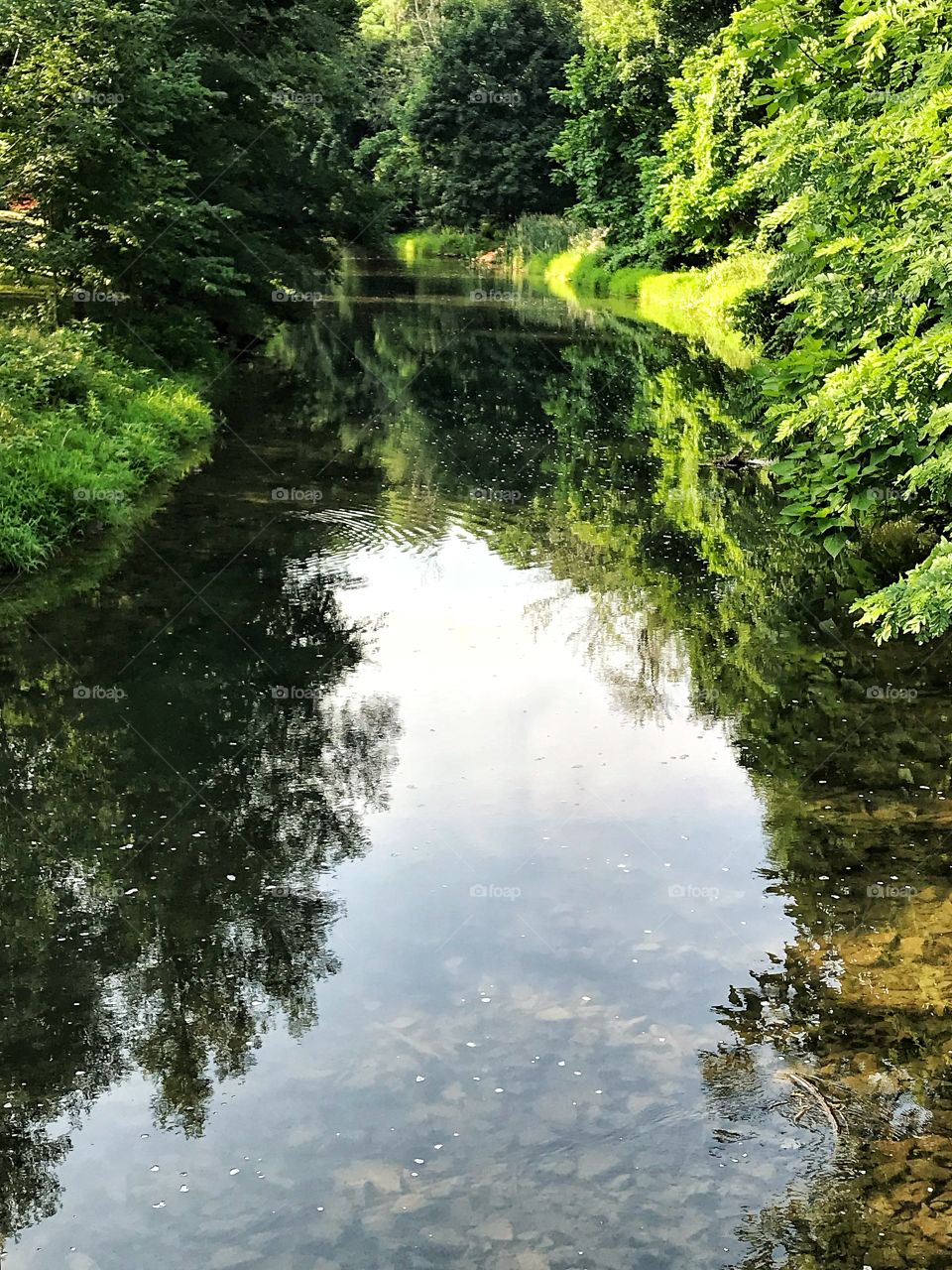 Ellicott creek mill race