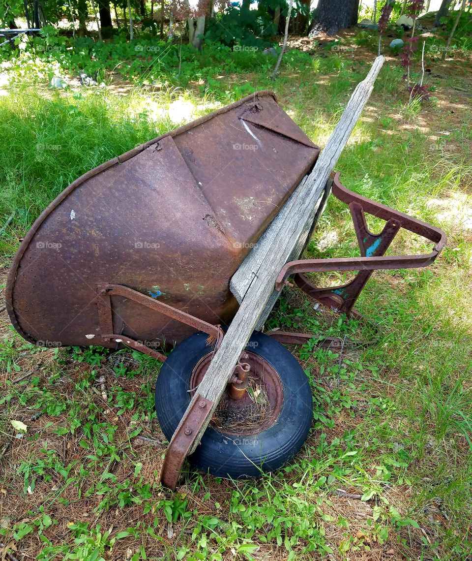Old  style rusted wheelbarrow .