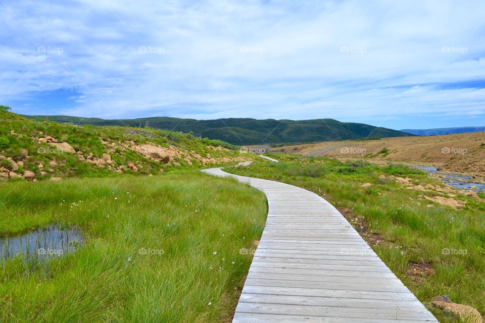 Landscape, No Person, Grass, Nature, Water