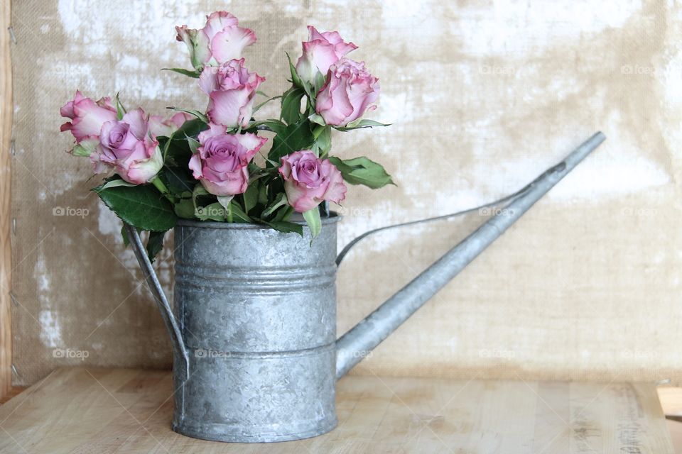 pink roses with water jug ​​zinc