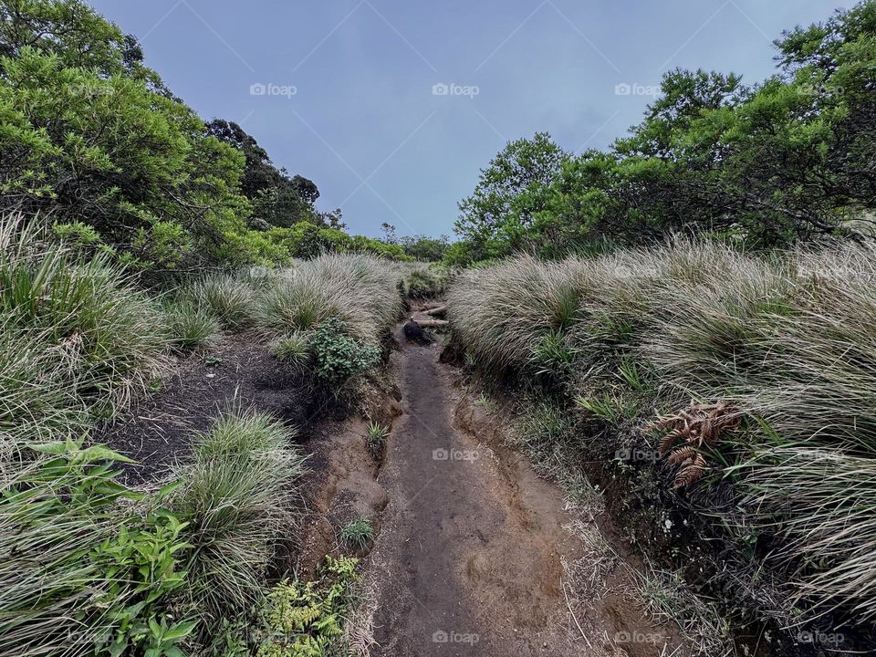 Horton plains path to words end…