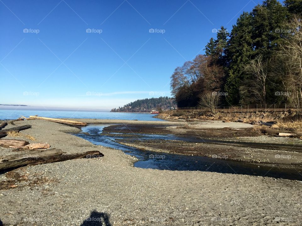 Washington coast