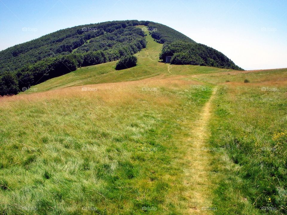 View of path on hill