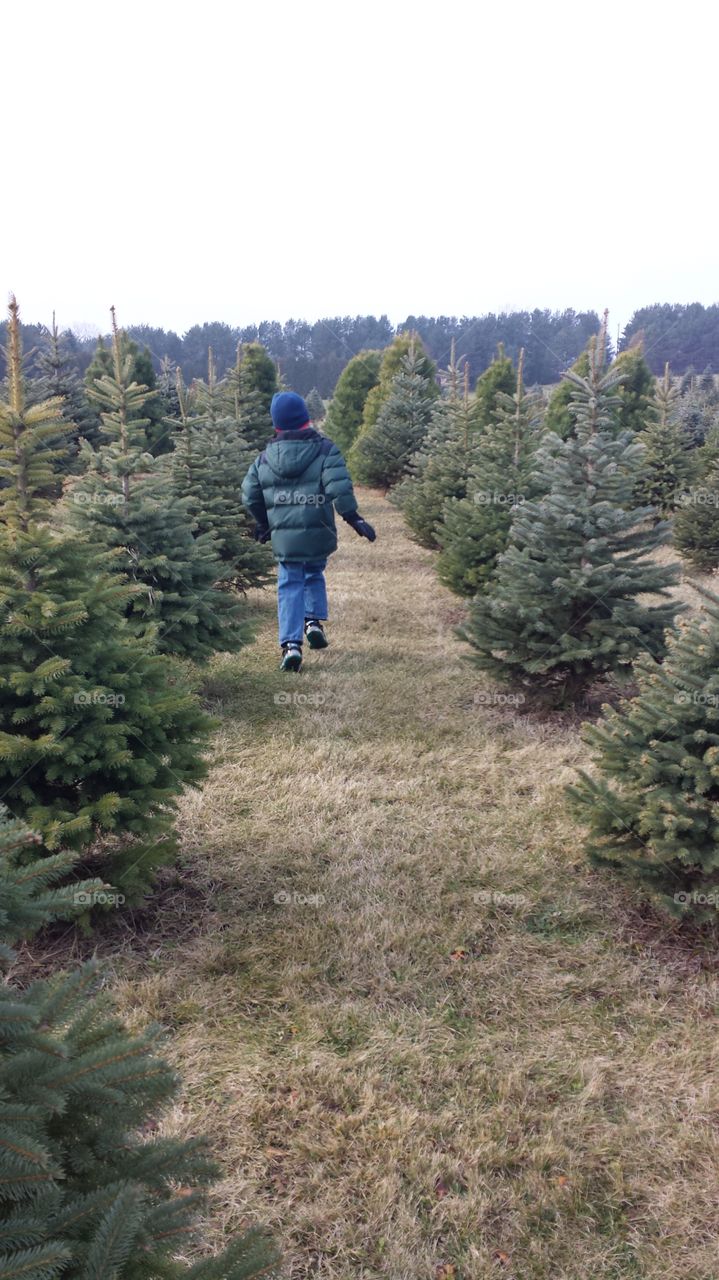 Holiday  Fun. child  skipping through holiday tree selection