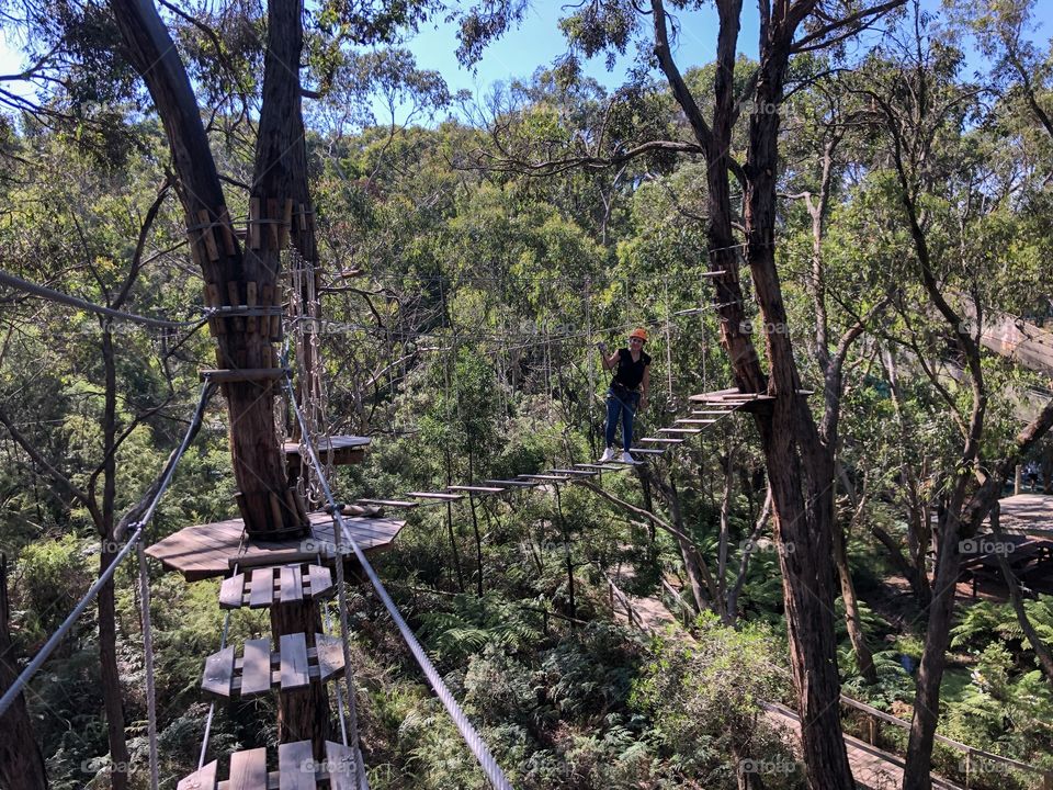 Tree surfing. Adventure. 