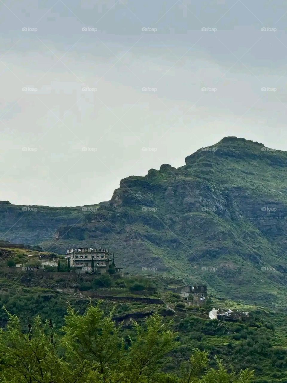 Glory be to God, the magnificent and picturesque view and the natural green trees are a view that is nothing more wonderful than it