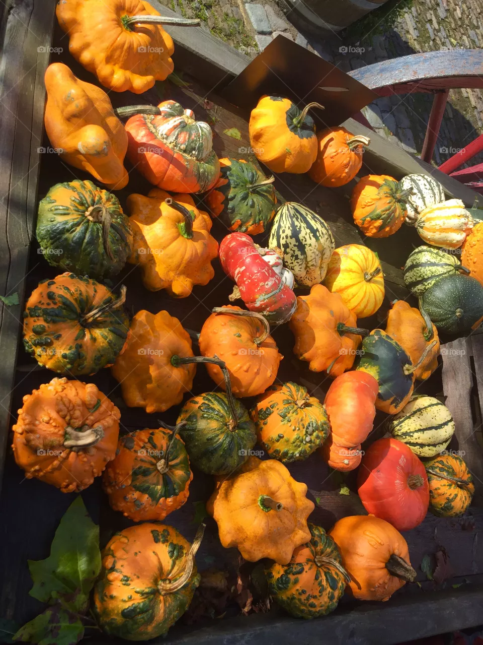 Pumpkins