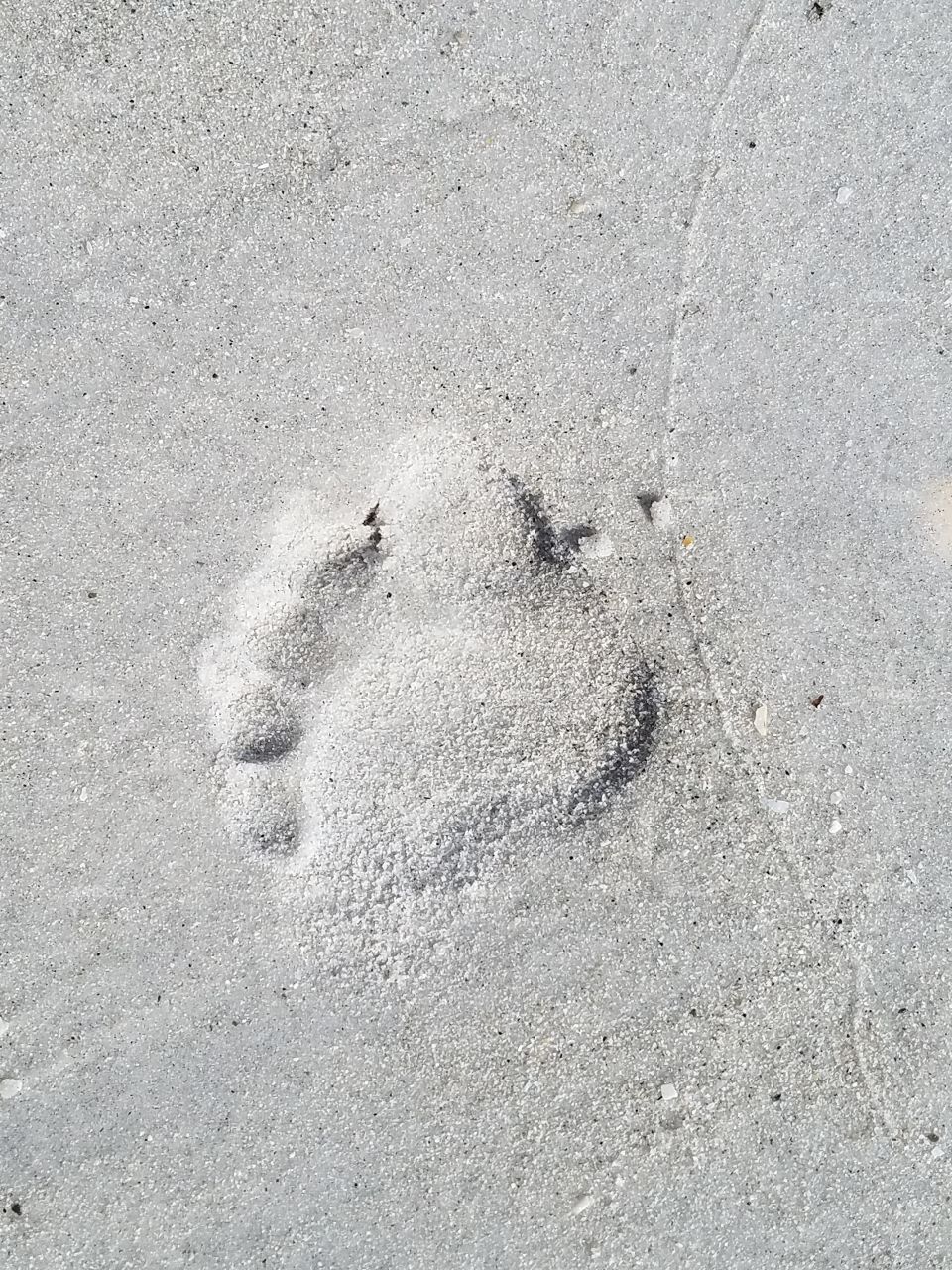 foot print