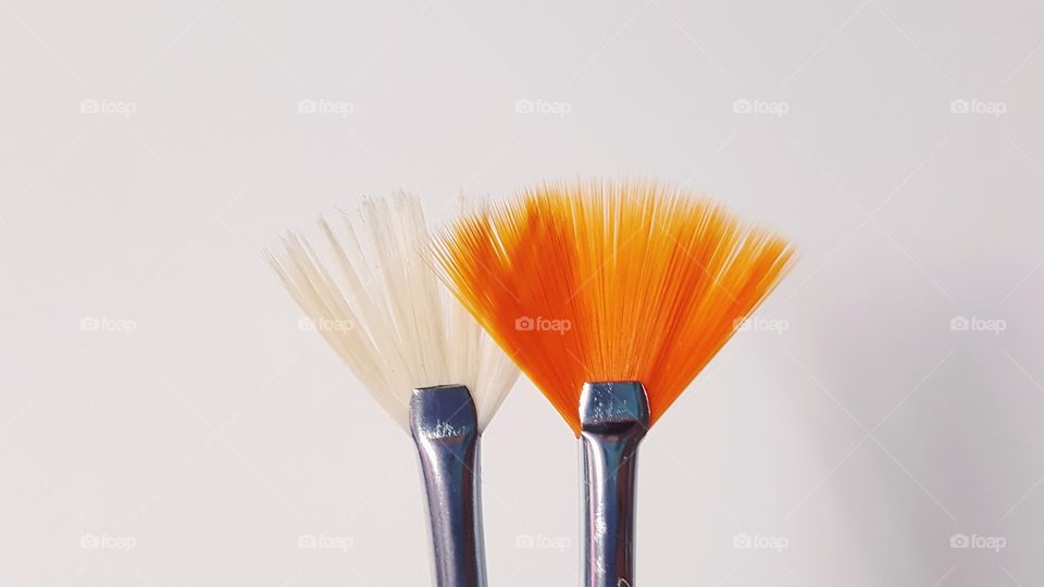 Close-up of two paintbrush
