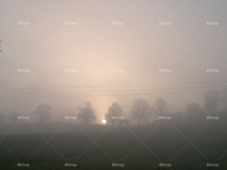 morning fog. Mornington fog, ireland