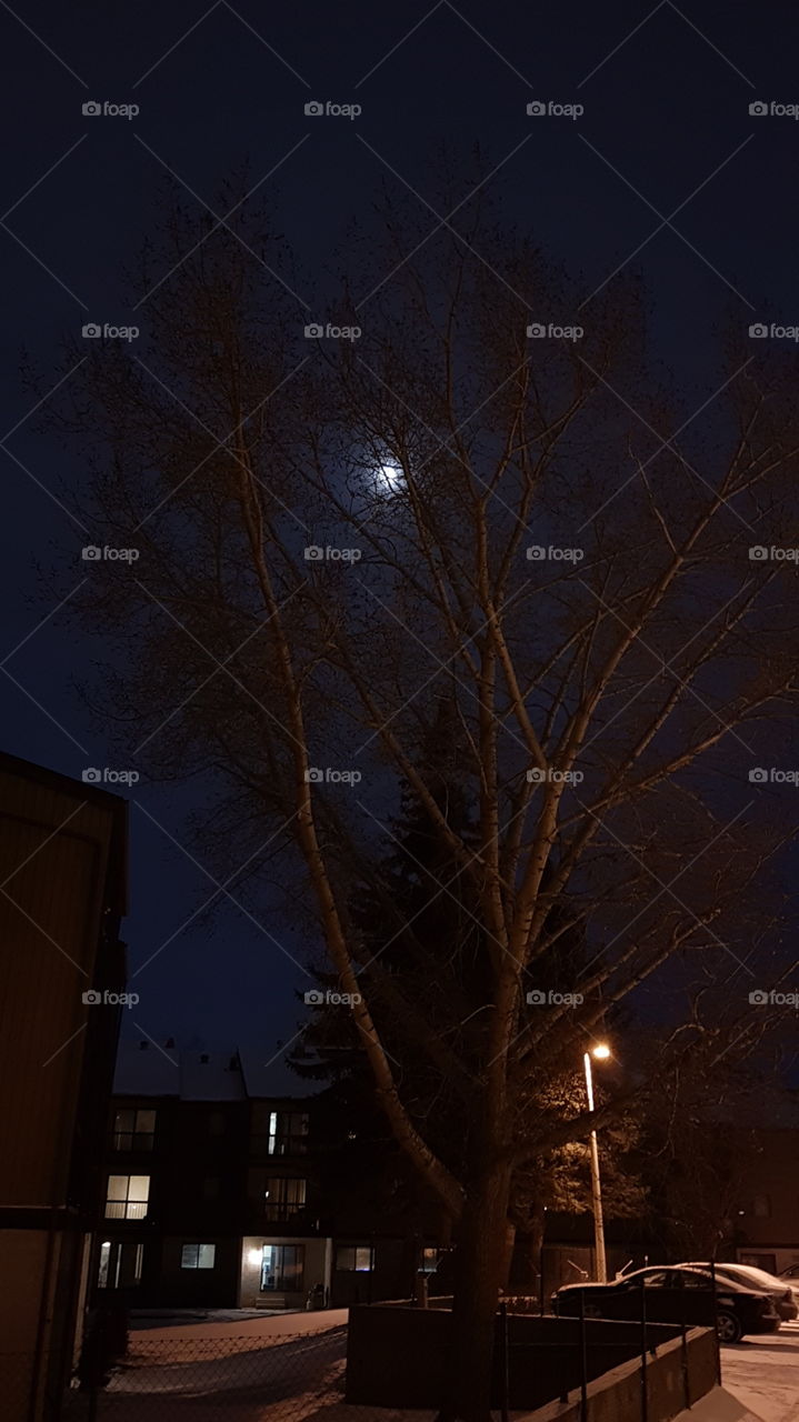 Time to Invest in Silver