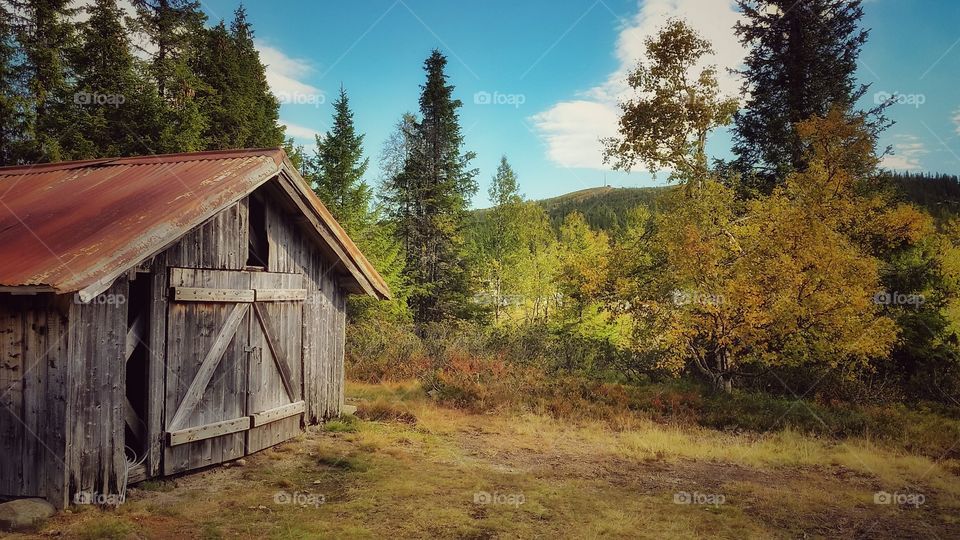 Norwegian countryside