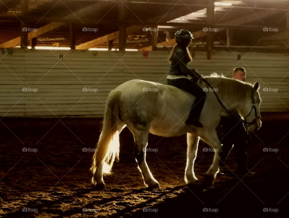 sunshine in horse arena