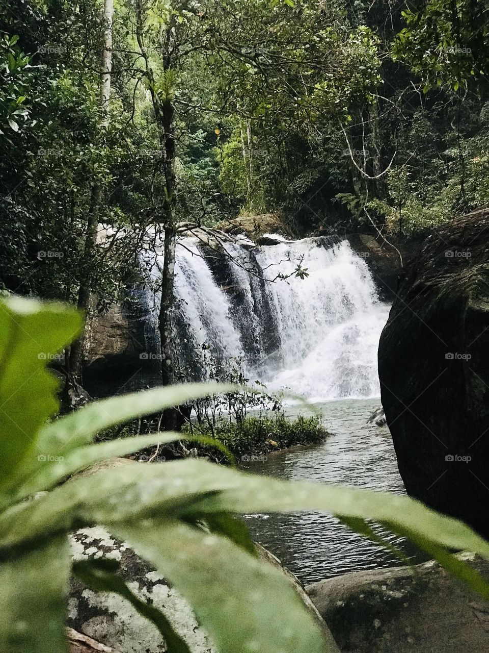 A waterfall in the forest