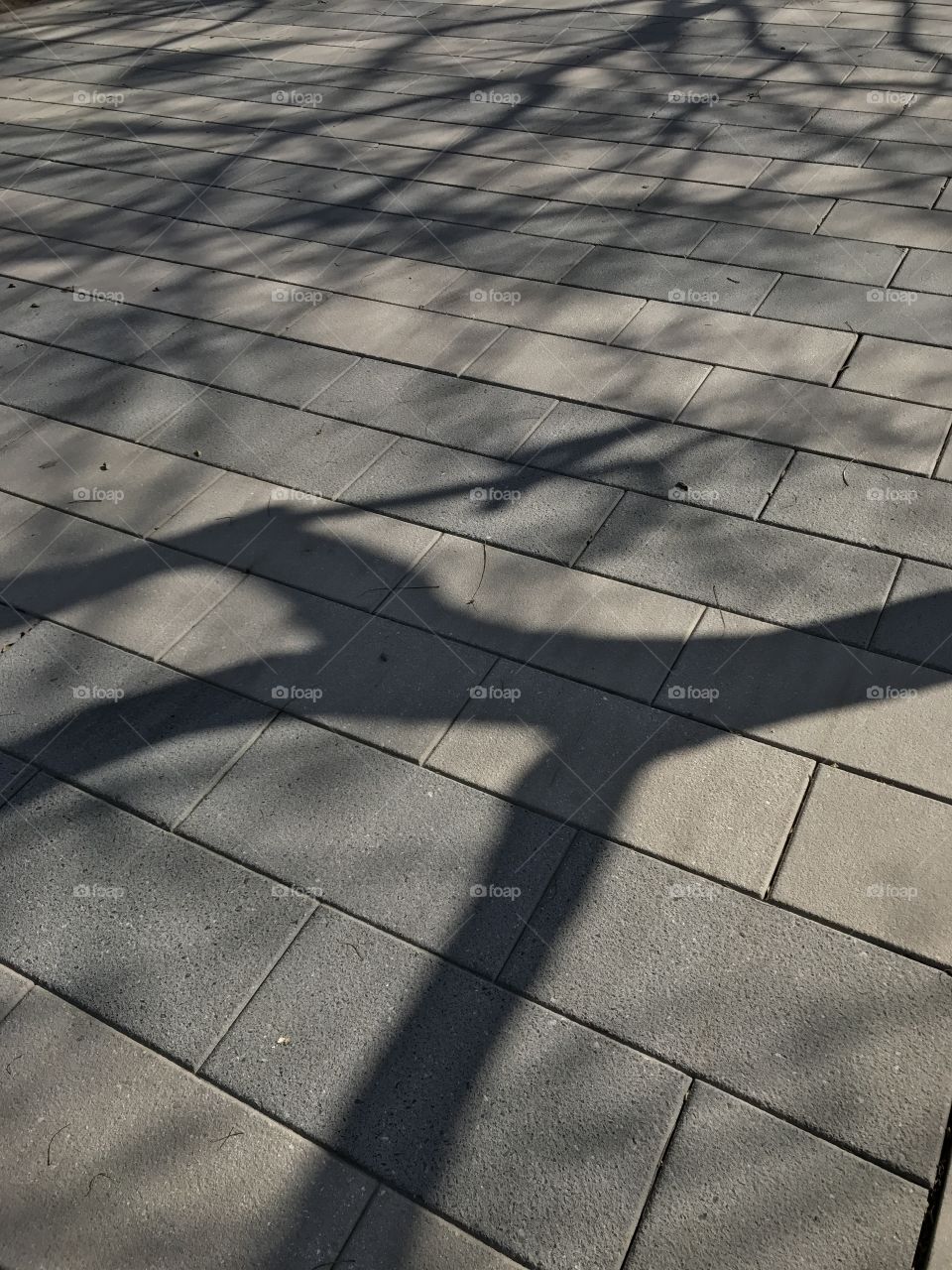 Pavement, Street, Texture, Abstract, Desktop