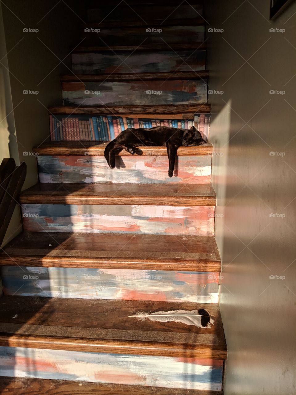 sun cat stairs