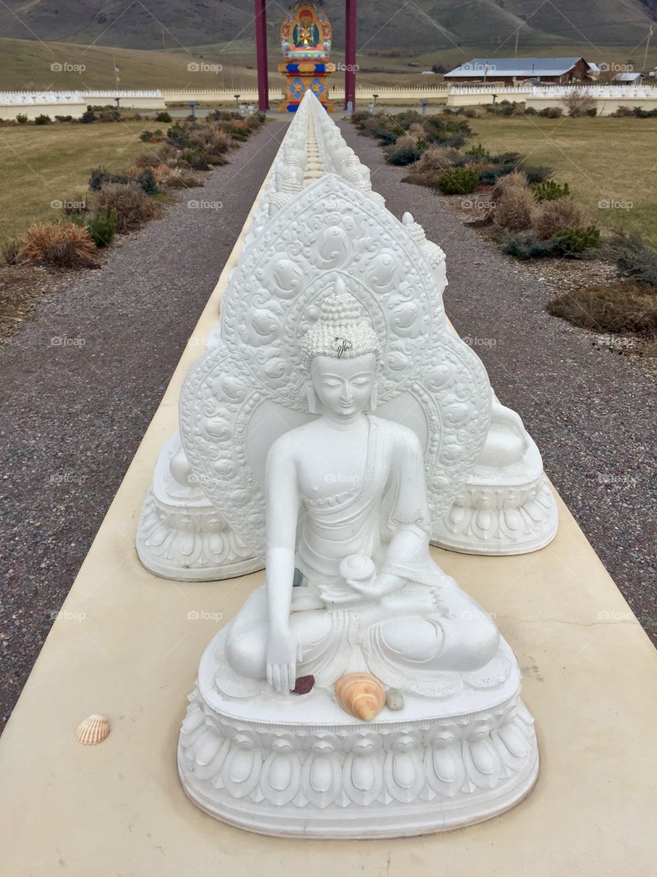 Garden of 1000 Buddha 