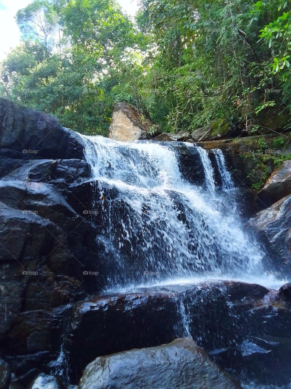 Kanneliya forest
sri lanka 🍃