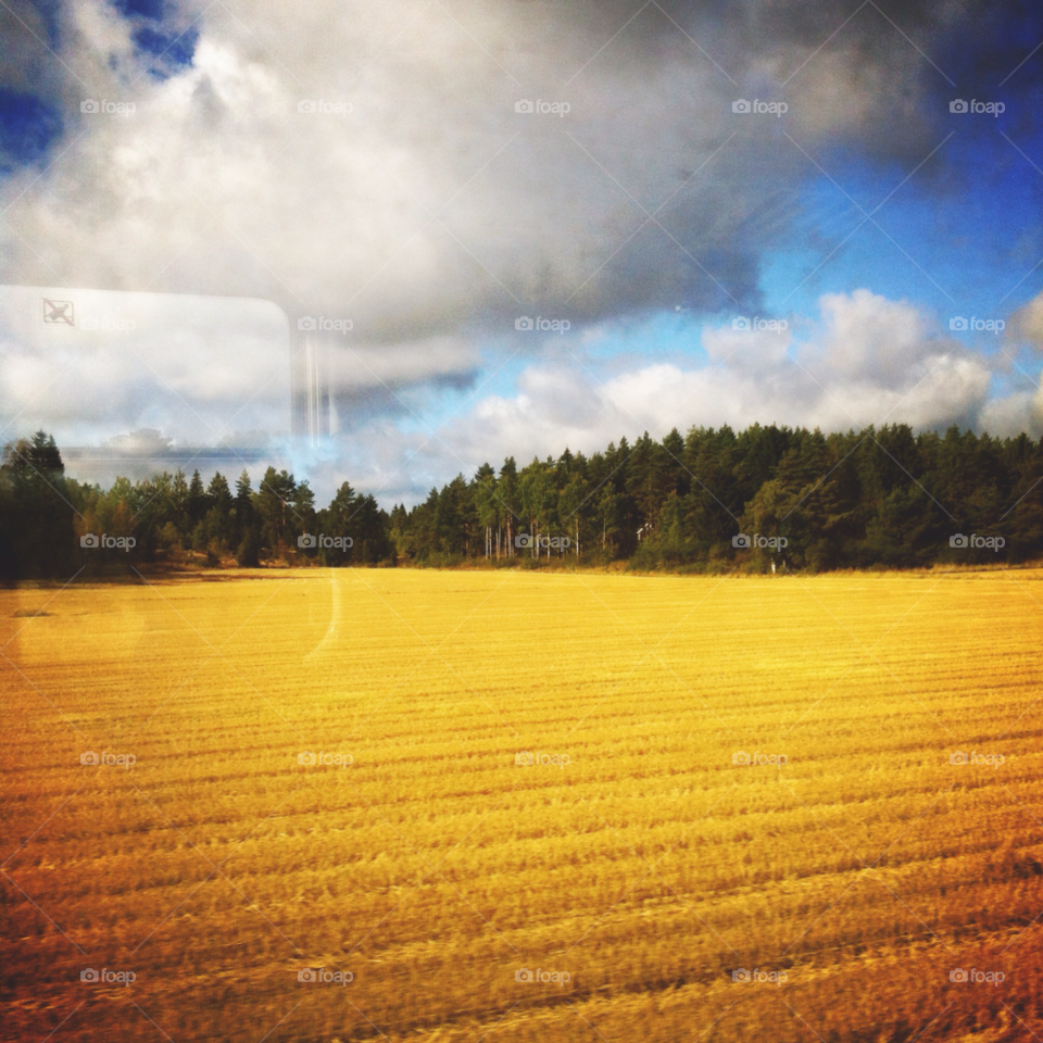 sweden sky field yellow by bumbiru