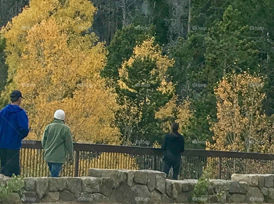 Strolling through fall colors 