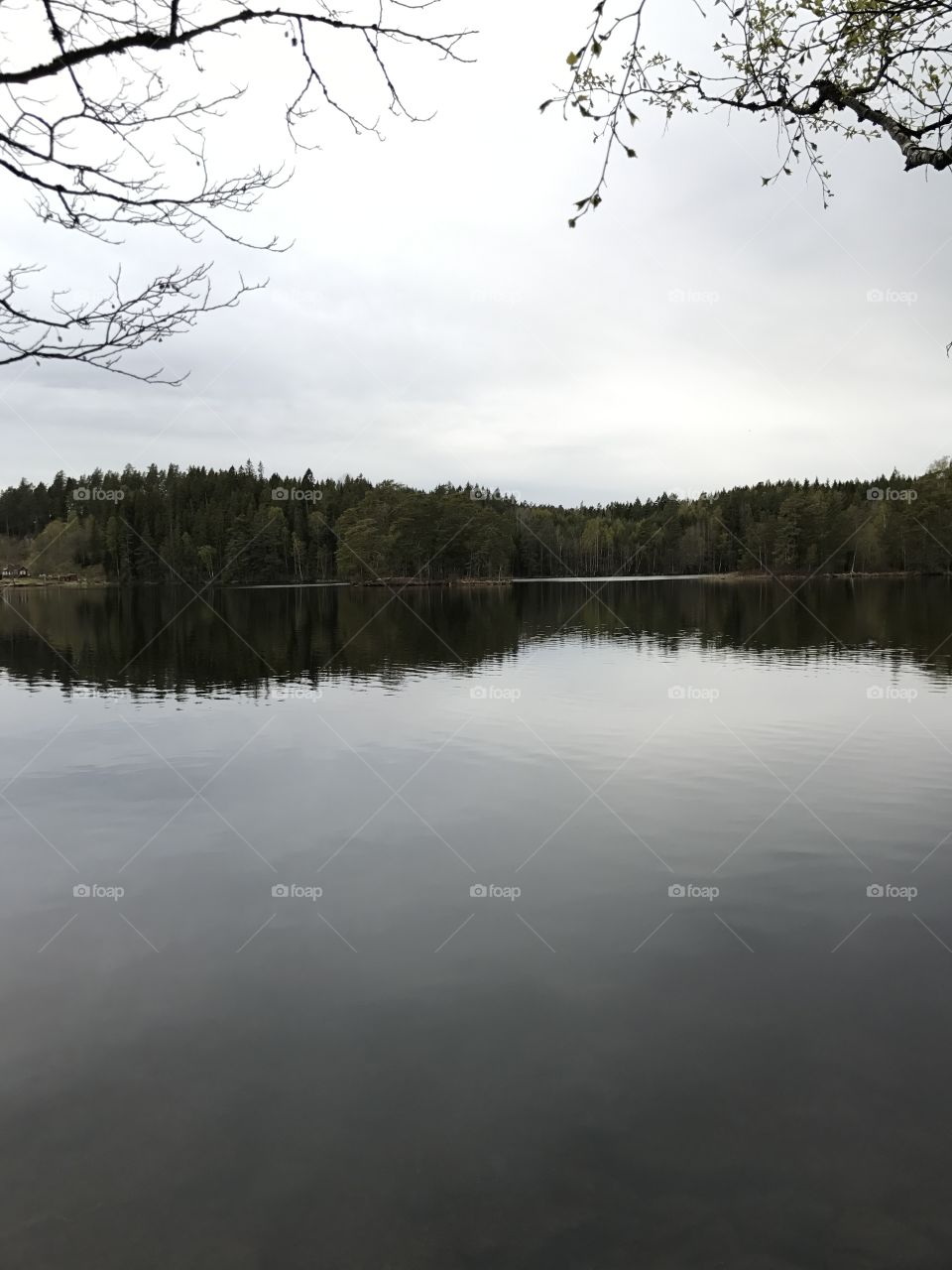 Lake nature
