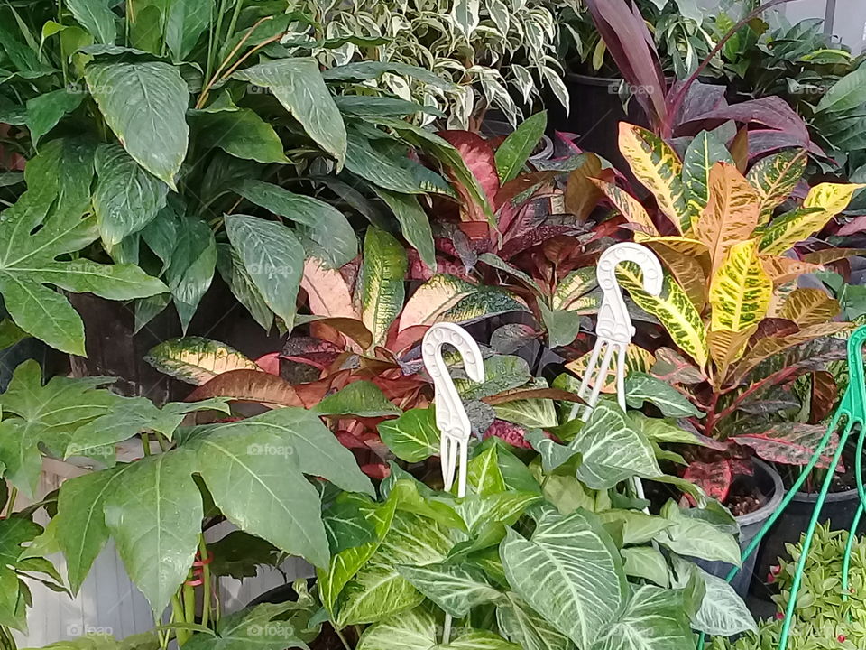 the nuture,no filter