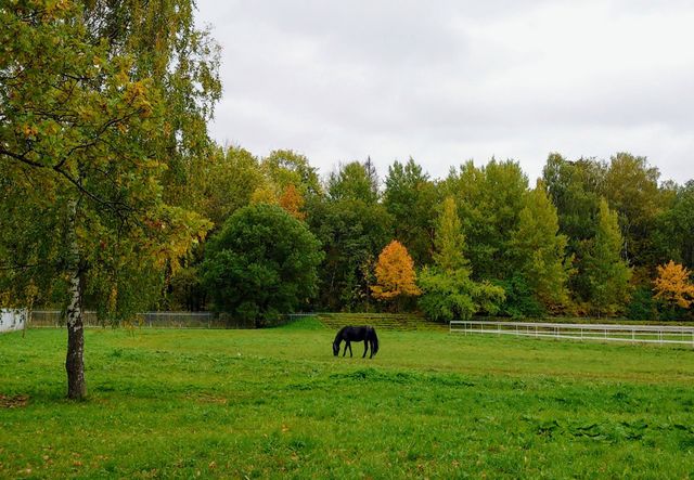 Autumn time 🍁🍂 Farm🍁🍂 Landscape 🍁🍂