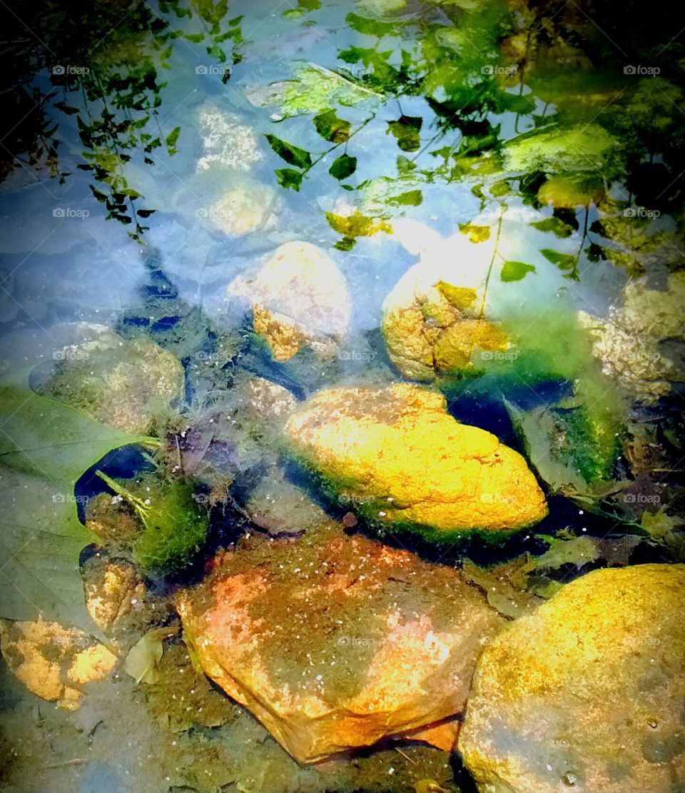 under the water. there are thousands of geod in our back yard