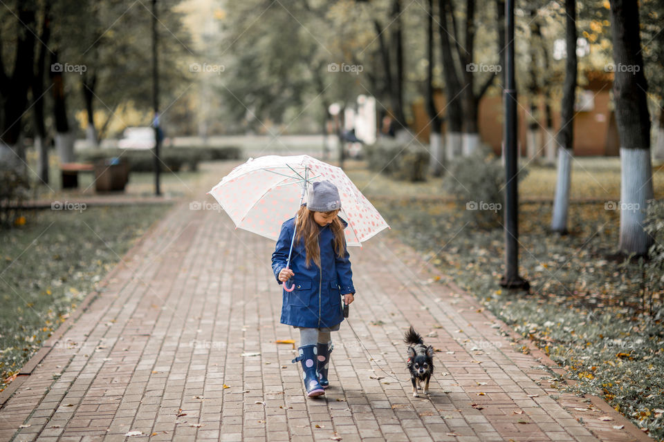 Little girl with umbrella in waterproof boots walking with chihuahua dog 