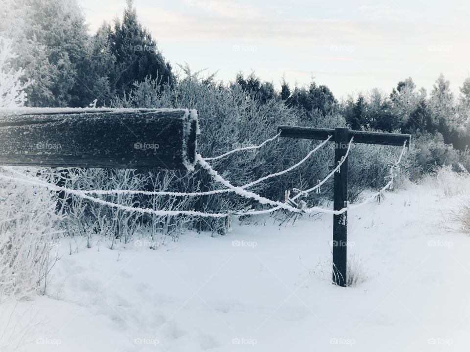 Frosted Clothesline 
