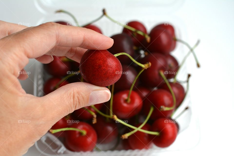 red cherry summer food in the hand white background