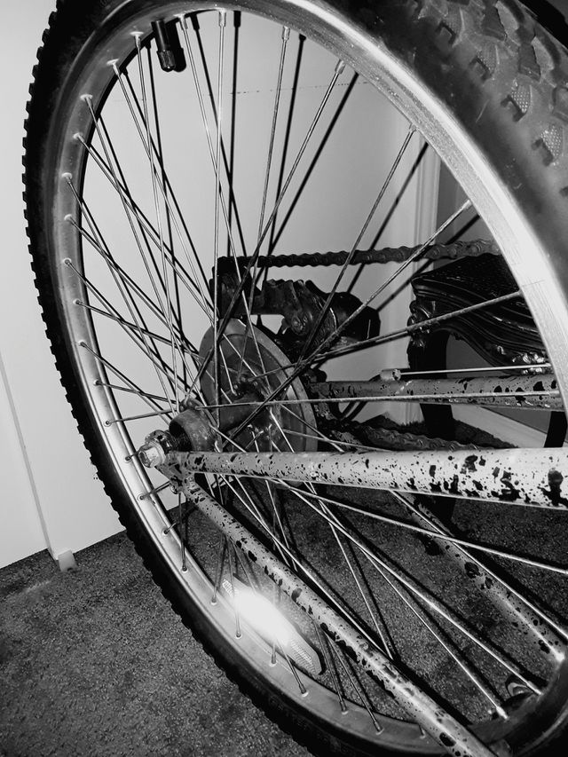 SPOKED