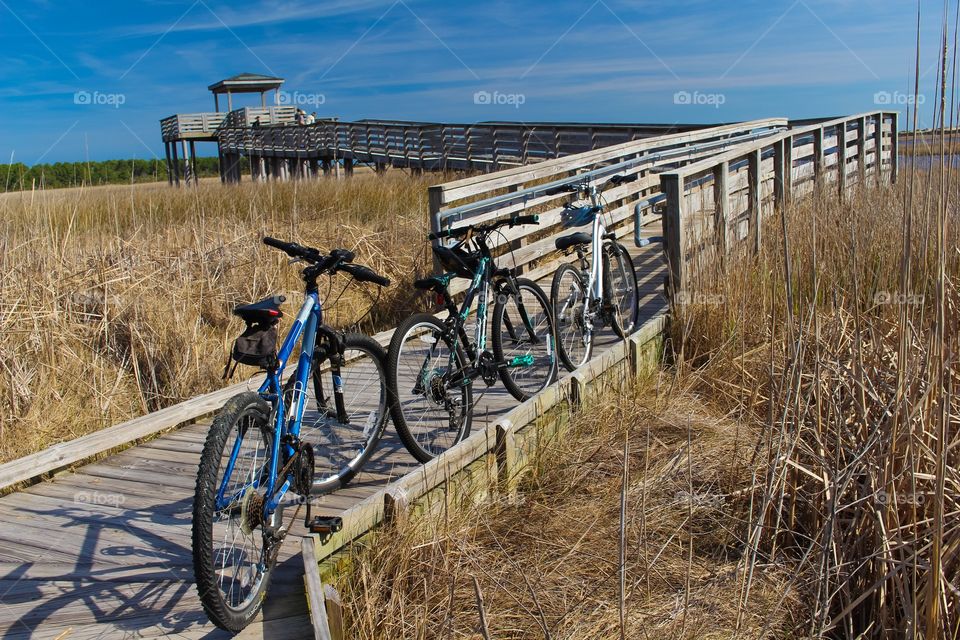 Bicycles on wooden boardwalk