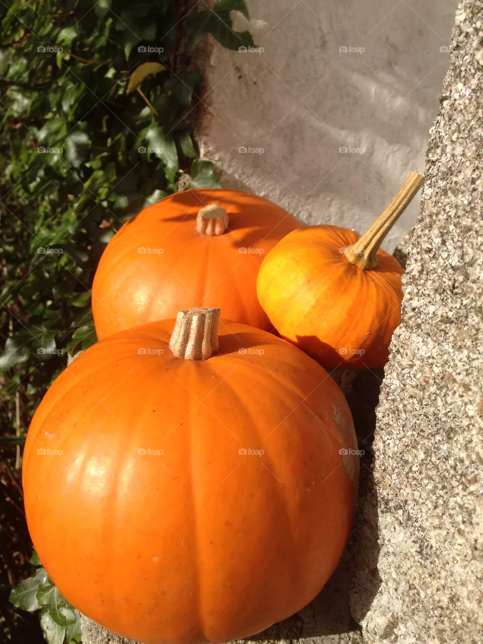 Pumpkins