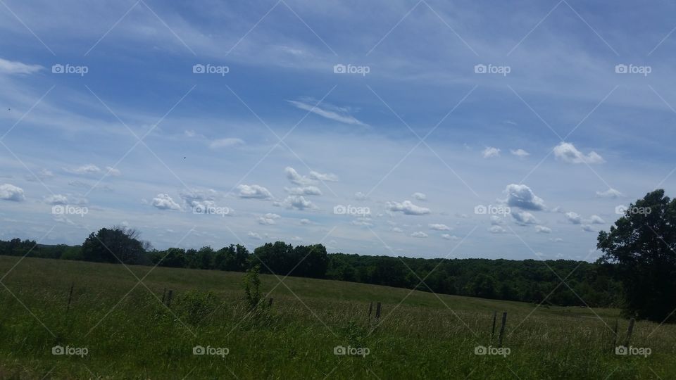 Landscape, No Person, Tree, Sky, Agriculture