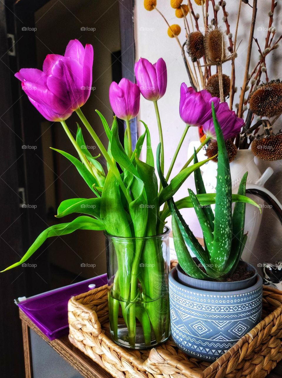 A beautiful photo of purple spring tulips in vibrant colours in a glass vase and another house plant in a vase right next to them