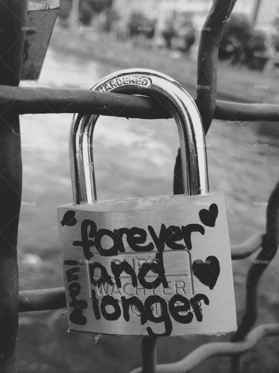 Love lock @ Zurich bridge