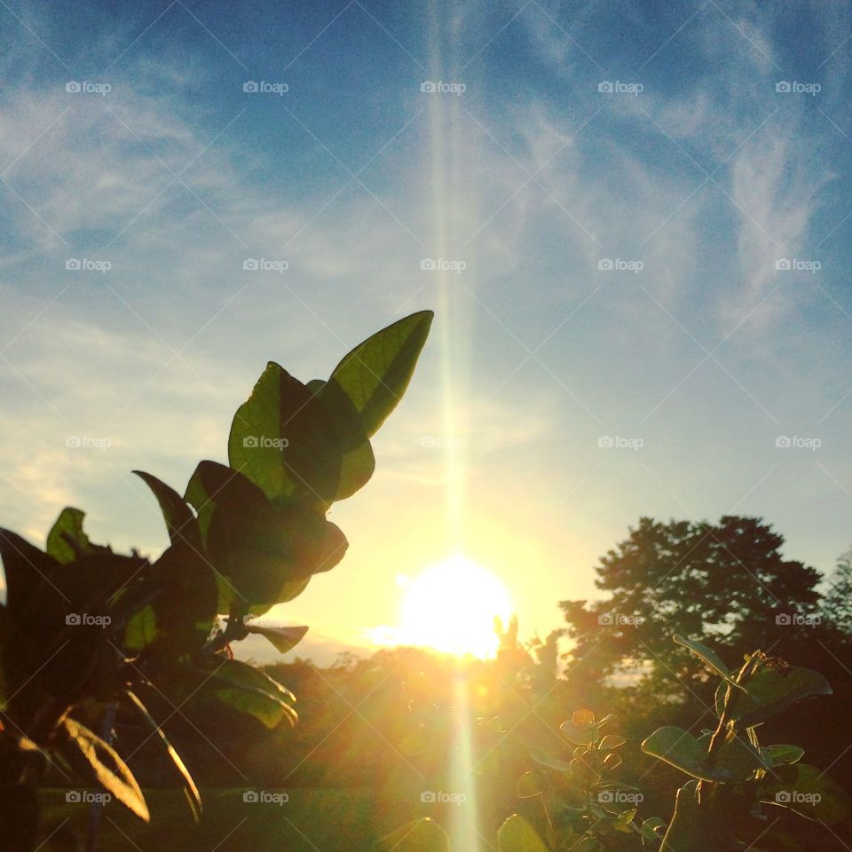 ☀️#Sol muito bonito de #natureza e #beleza indescritíveis.
Obrigado, #MãeTerra, por mais essa manhã bonita!
🌱🌞
#inspiração #amanhecer #morning #fotografia #paisagem #sun #céu #landscapes