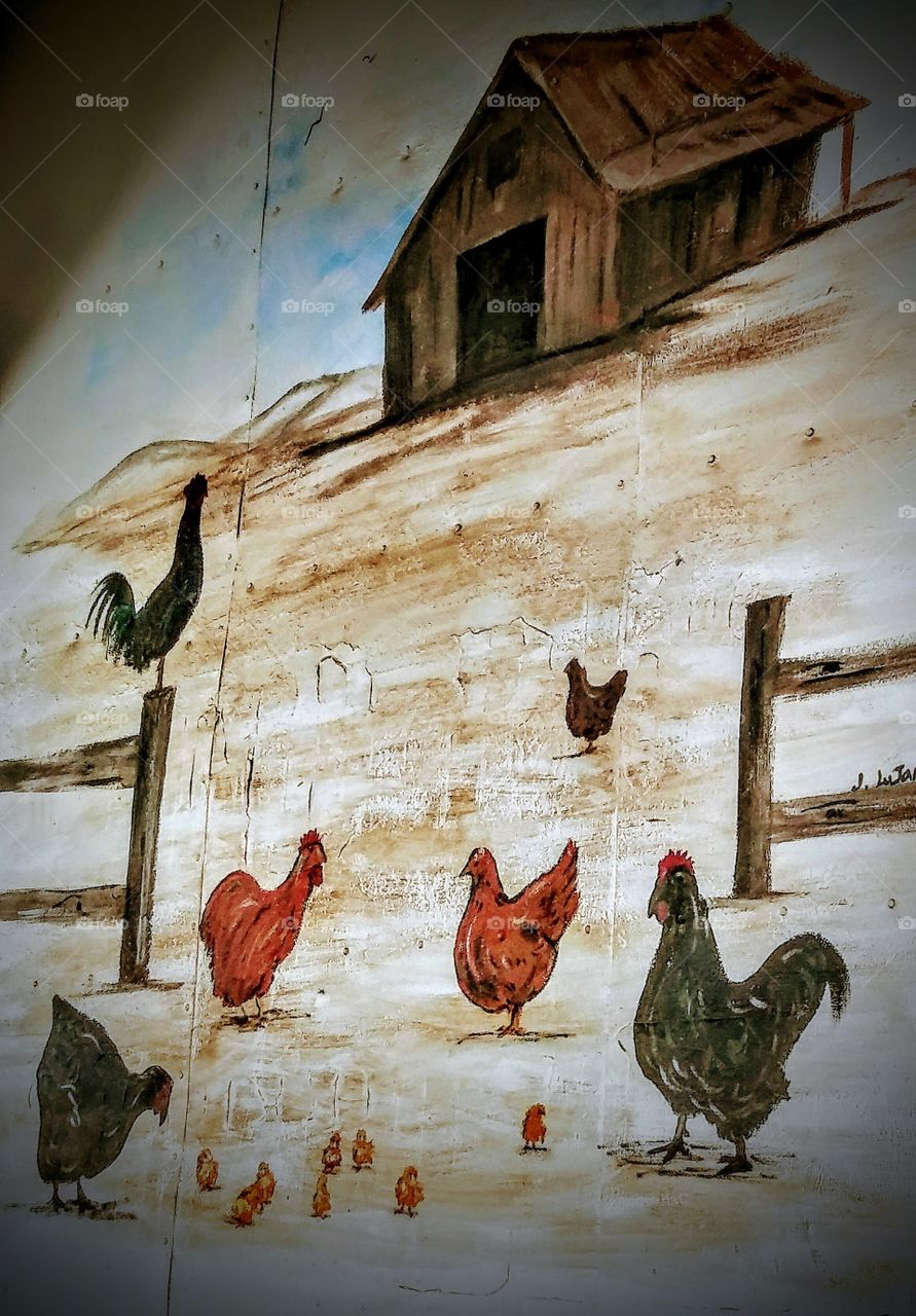 barn and animals🚜